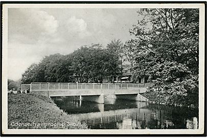 Odense. Bro over åen ved Hunderup skov. Stenders Odense no. 507.