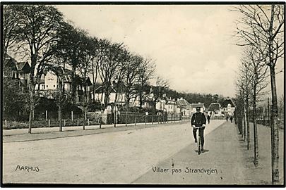 Aarhus, Strandvejen med villaer. Stenders no. 5646.