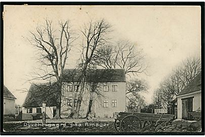 Købh., Amager Dyvekes Gaard. Stenders no. 2319. 