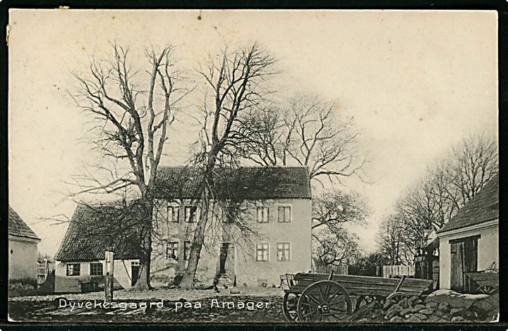 Købh., Amager Dyvekes Gaard. Stenders no. 2319. 