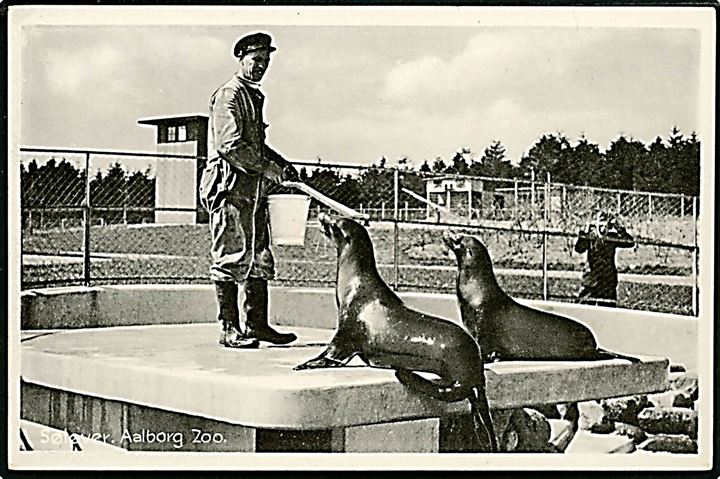 Aalborg, Zoologisk have med fordring af sæler. Stenders no. 76048.