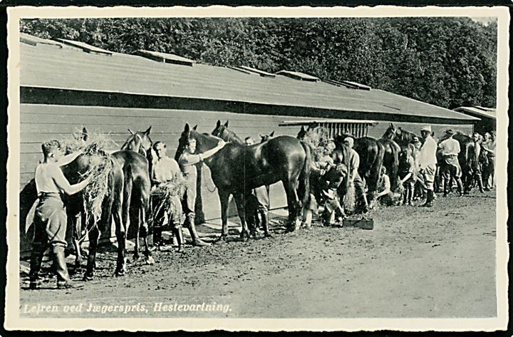 Jægerspris, hestevartning i lejren. E. Rose no. 7.