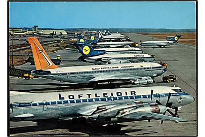 Islandsk Canadair CL-44 maskine TF-LLJ Thorvaldur Eiriksson fra Loftleiðir i Frankfurt Rhein-Main lufthavn. 