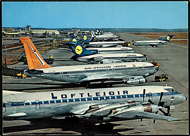 Islandsk Canadair CL-44 maskine TF-LLJ Thorvaldur Eiriksson fra Loftleiðir i Frankfurt Rhein-Main lufthavn. 