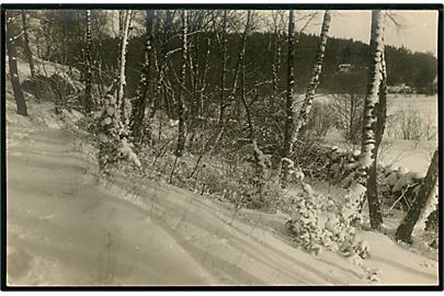 Bornholm, skovparti i sne. Fotokort af fotograf Alfred Kjøller brugt personligt som julekort underskrevet Fætter Alfred. 