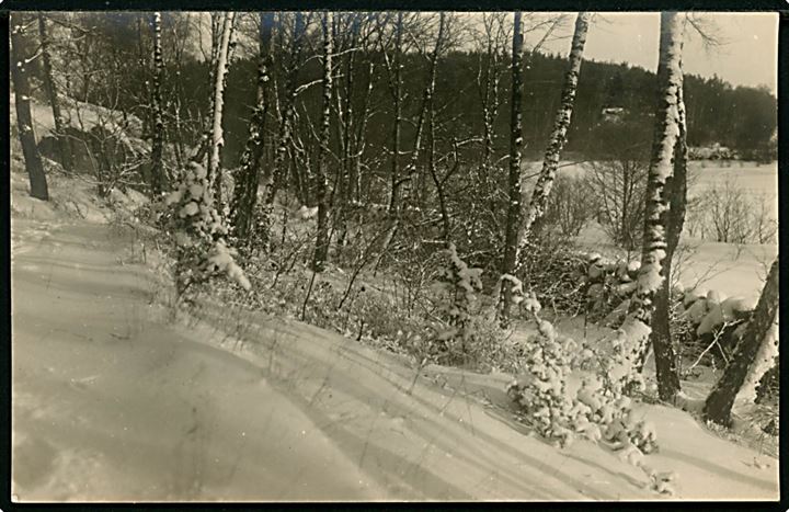 Bornholm, skovparti i sne. Fotokort af fotograf Alfred Kjøller brugt personligt som julekort underskrevet Fætter Alfred. 