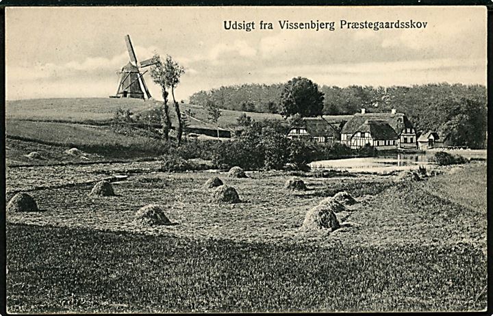 Vissenbjerg. Udsigt fra Præsteskoven til gård og Mølle. P. M. Brønsro, Odense u/no. 