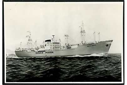 Susan Mærsk, M/S, Rederiet A. P. Møller. Fotografi 8x11½ cm.