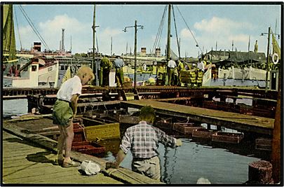 Korsør, Baadehavnen med fiskefartøjer. Zachariassen no. 6007.