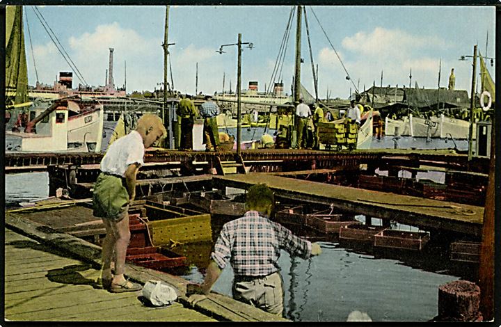 Korsør, Baadehavnen med fiskefartøjer. Zachariassen no. 6007.