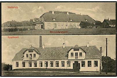 Vestervig. Herreskontoret og Sygehuset. P. Jensen no. 43.