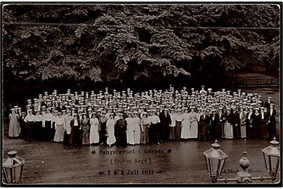 Odense. Sangstævnet i Fruens Bøge 2. og 3. juli 1911. Fotokort u/no. 