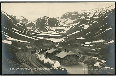 Myrdal station på Bergensbanen. Fotokort K. Knudsen no. 488. 