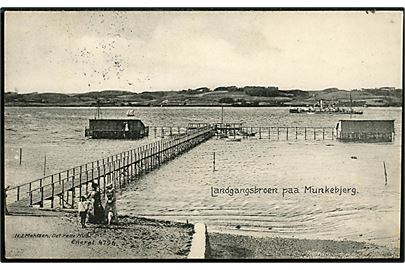 Vejle. Munkebjerg, Landgangsbroen. N.J. Mehlsen, Det Røde Hus no. 4796.