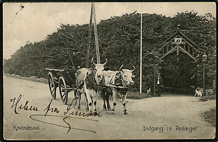 Ringkøbing, Oksekærre ved indgangen til Anlægget. N. P. Holm no. 8361.