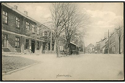 Hammel, gadeparti. E. C. no. 18259.