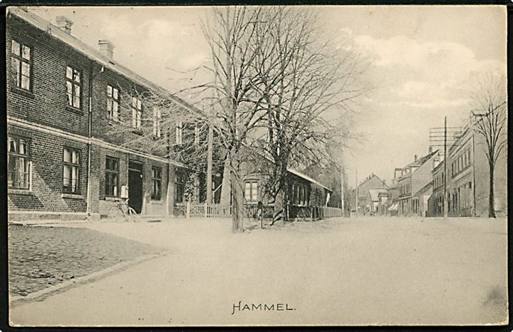 Hammel, gadeparti. E. C. no. 18259.