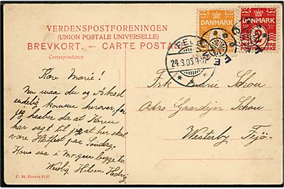 1 øre og 2 øre Bølgelinie på lokalt brevkort (Dalbygaard v. Stubbekøbing) annulleret med stjernestempel FEMØ  og sidestemplet Fejø d. 24.3.1906 til Vesterby på Fejø.