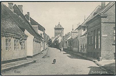 Hundegade i Ribe. Stenders no. 9546.