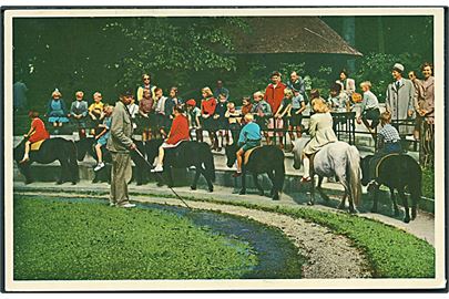 Ridebanen i Københavns Zoologiske Have. K. Witt Møller, serie no. 6700-222.