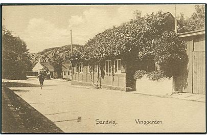 Vingaarden i Sandvig. Colbergs Boghandel no. 604.