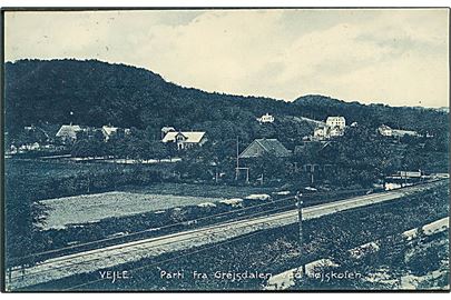 Parti ved Grejsdalen ved Højskolen med jernbaneskinnerne i Vejle. Hvidehus Boglade no. 22055.