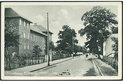 Birkevej i Silkeborg. Stenders, Silkeborg no. 198. 