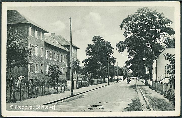 Birkevej i Silkeborg. Stenders, Silkeborg no. 198. 