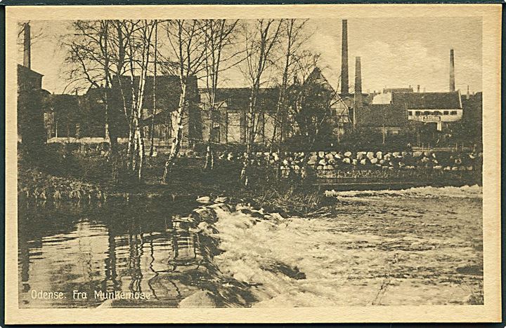 Fra Munkemose i Odense. Stenders, Odense no. 32. 