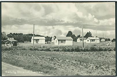 Selvig Strand, Samsø. Stenders no. 100 240.