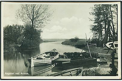 Aagabet ved Arresø. Erik Ramlaus Boghandel no. 2802. Fotokort. 