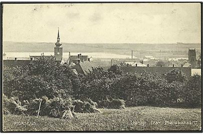 Udsigt fra Møllebakken over Horsens. Stenders no. 7330.