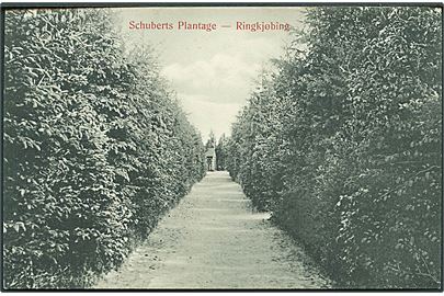 Schuberts Plantage i Ringkjøbing. Math. Christensen no. 917.