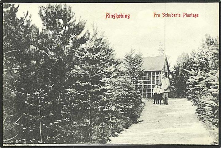 Fra Schuberts Plantage ved Ringkøbing. N.P.Holm u/no.