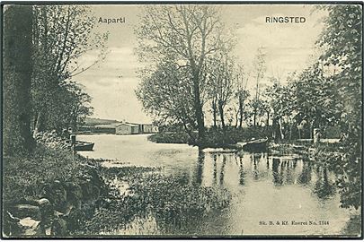 Aaparti ved Ringsted. Sk. B. & Kf. no. 1344. 