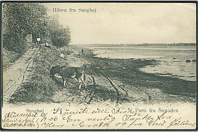 Parti fra stranden, Snoghøj. P. Blicher no. 3001.