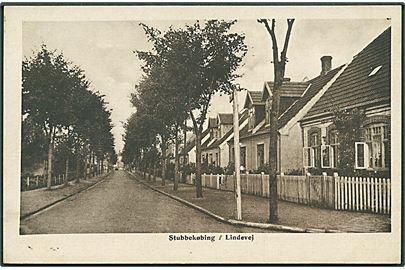 Lindevej i Stubbekøbing. Niels Bruuns Forlag no. 29284.