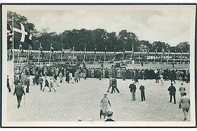 Dyrskuet på Bellahøj. Nationaltidendes Forlag no. 174. Fotokort. 