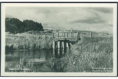 Aaen ved Bratbjerg. Bollerups Boghandel u/no. Fotokort. 