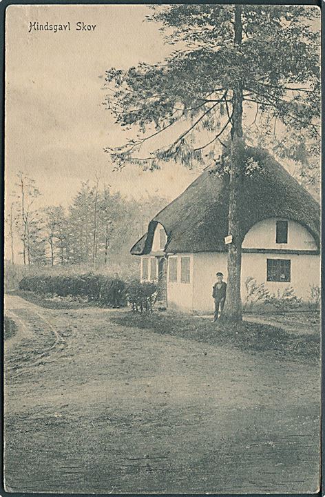 Hindsgavl Skov med hus. Peter Alstrups no. 611. 