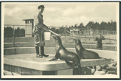 Søløver i Aalborg Zoologisk Have. Stenders no. 76048. 