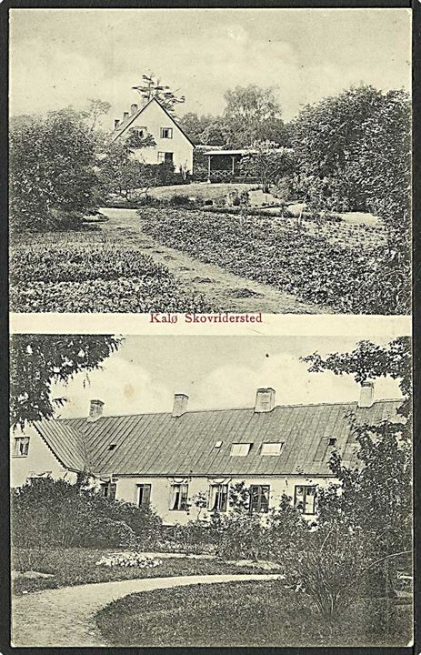 Kalø Skovridersted. Andersen, Rønde, J.J.N. no. 1351