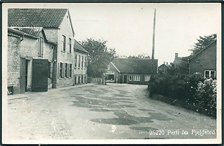 Parti fra Fjeldsted. Agfa no. 25220. Fotokort. 