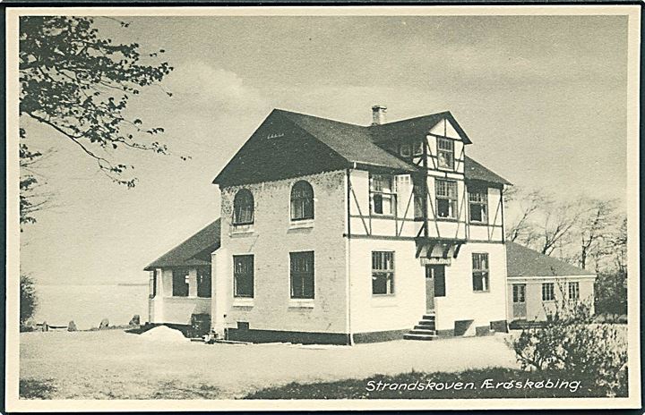 Strandskoven, Ærøskøbing. P. Andersen no. 19764. 