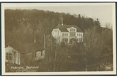 Bøghoved i Haderslev. Fotokort no. 1067. 