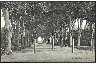 Parti fra Reitzensteins Allé i Sorø. W.K.F. no. 2213.